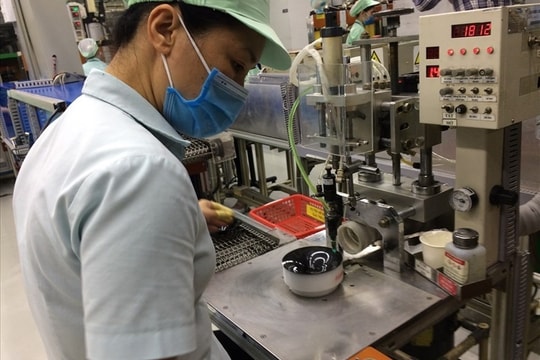 Cơ sở giáo dục nghề nghiệp nào sẽ bị đình chỉ hoạt động từ ngày 1.6?