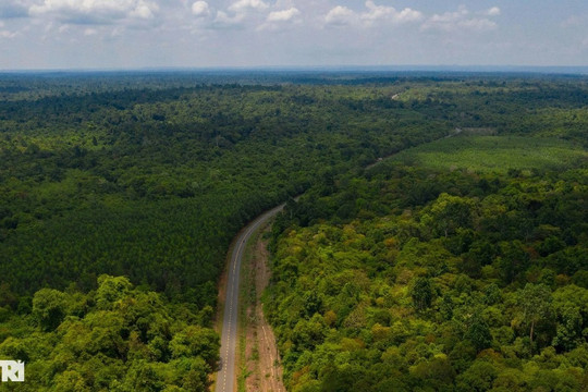 Toàn cảnh nơi đề xuất xây cầu Mã Đà và tuyến đường "bổ dọc rừng" ở Đồng Nai