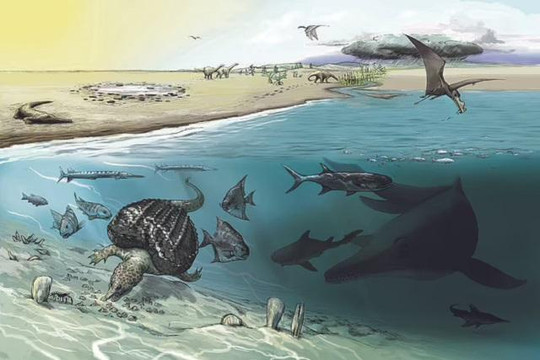 Ly kỳ quái vật biển dài 20m chết trên núi cao khiến nhóm khảo cổ choáng váng