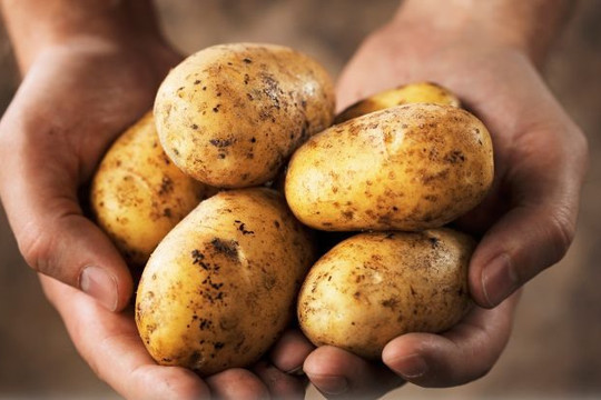 Lợi ích của khoai tây và cách chế biến lành mạnh