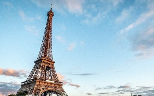 Pháp: Hàng chục nghìn người phản đối tái cải tạo quanh tháp Eiffel, trong đó có việc... chặt cây