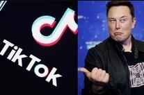 Thực hư thông tin Elon Musk muốn mua lại và xóa bỏ mạng xã hội TikTok