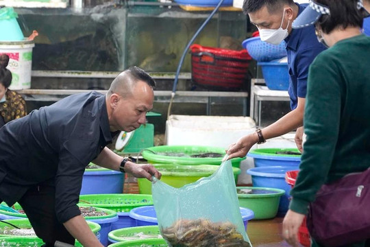 Khách Hà Nội đổ ra chợ gom hải sản, dân Hạ Long đóng hàng mỏi tay