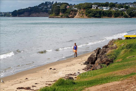 Mực nước biển ở New Zealand dâng nhanh hơn dự báo