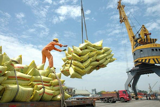 Xuất khẩu gạo Việt Nam vượt mốc 1 tỷ USD, giá bán áp đảo gạo Thái