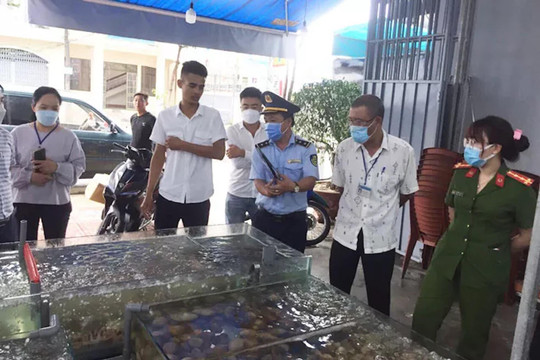 Hóa đơn hải sản 42,5 triệu đồng: Lãnh đạo TP Nha Trang kết luận gì?