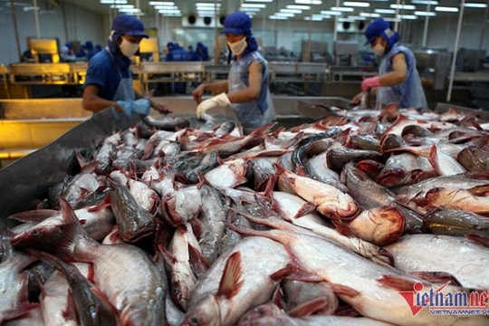 Bội thu 900 triệu USD, món hàng Việt nổi danh toàn cầu phá đỉnh lịch sử