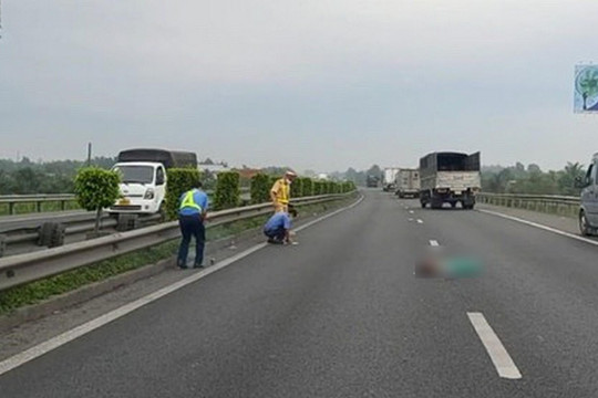 Đi bộ băng qua cao tốc TP.HCM - Trung Lương, người phụ nữ bị xe tông chết