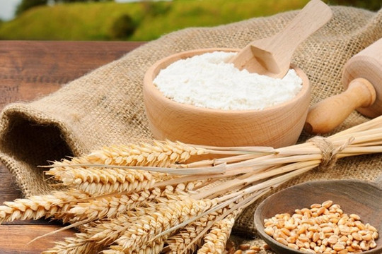 Argentina trở thành nước đầu tiên cấp phép trồng lúa mì biến đổi gene