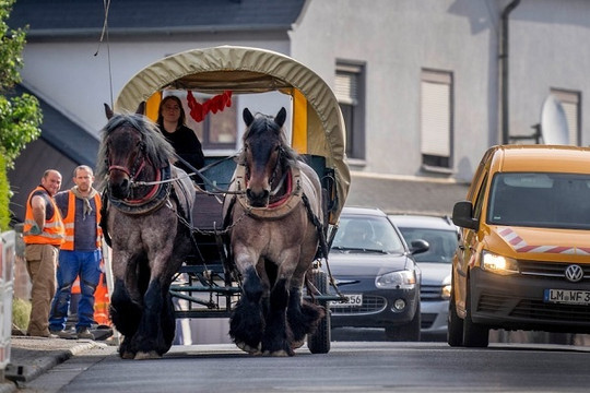 Người phụ nữ Đức chuyển sang đi xe ngựa vì giá xăng cao