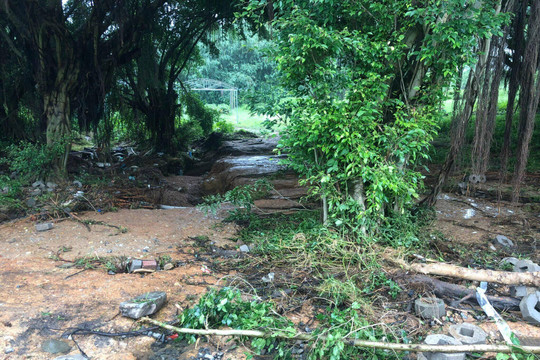 Thực hư thông tin vỡ đập chứa nước sân golf Tam Đảo, Vĩnh Phúc