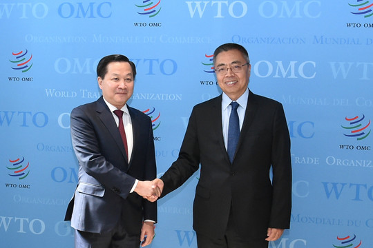 Phó Thủ tướng Lê Minh Khái làm việc với Phó Tổng Giám đốc WTO