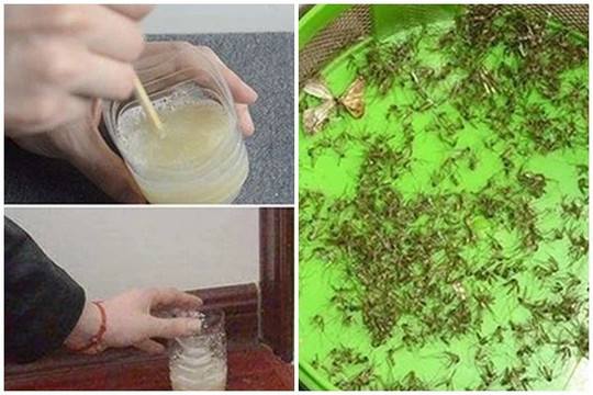 Trộn bột giặt với lon bia uống dở để góc nhà: Muỗi nhiều mấy cũng bị diệt sạch bách