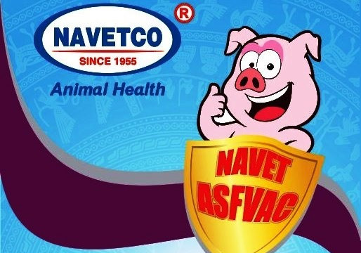 Cuối năm nay, Việt Nam sẽ có thêm 2 loại vaccine dịch tả lợn Châu Phi