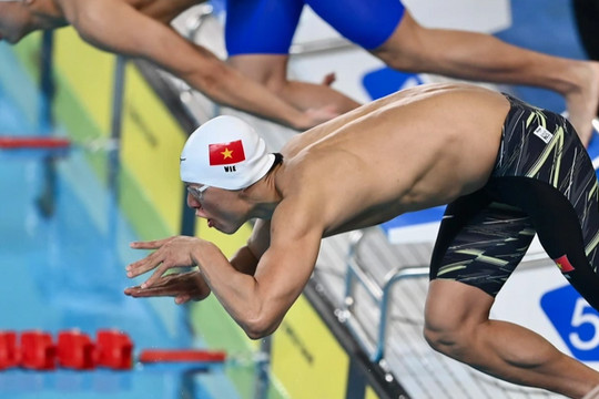 Bốn nhà vô địch SEA Games 31 của Việt Nam dự giải bơi thế giới