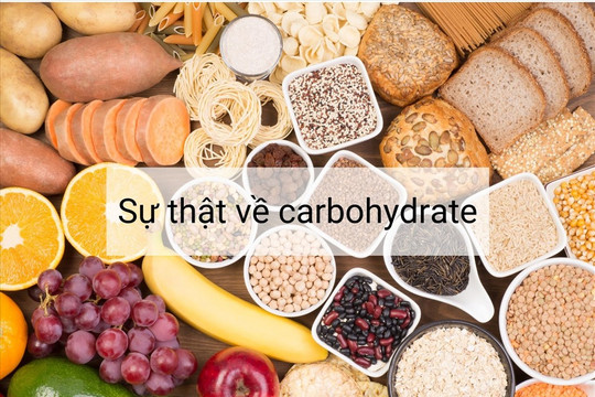 4 sự thật về carbohydrate