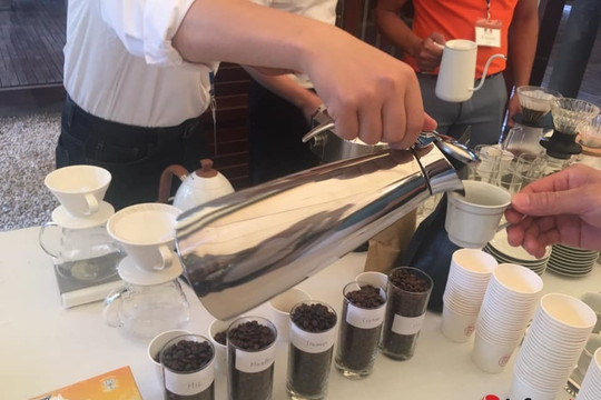 Việt Nam có thêm giống cà phê Arabica mới