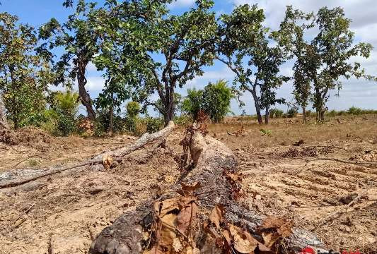 Chủ tịch xã 'thề' không nhận hối lộ vụ vụ phá rừng lớn nhất Đắk Lắk bị kỷ luật cảnh cáo