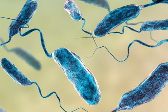 Diễn biến sức khỏe bé gái bị nhiễm 'vi khuẩn ăn thịt người'