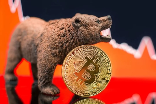 Bitcoin giảm 15%, thủng mốc 24.000 USD khi các nhà đầu tư đua nhau bán tháo