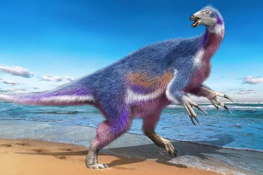 Tìm thấy khủng long "Thần Chết" với bộ vuốt khổng lồ ở Nhật Bản