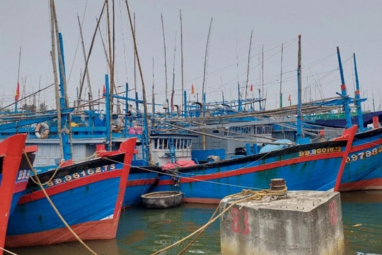 Đề nghị Bộ Công an điều tra đường dây đưa tàu cá ra nước ngoài đánh bắt