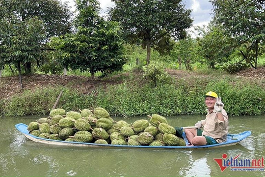 Đẳng cấp bán hàng: Trái cây Việt tắc biên bỏ thối, Thái Lan mở tiệc buffet giá cao