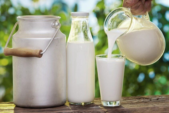 3 lý do khiến sữa chua trở thành loại thực phẩm hỗ trợ giảm cân tốt