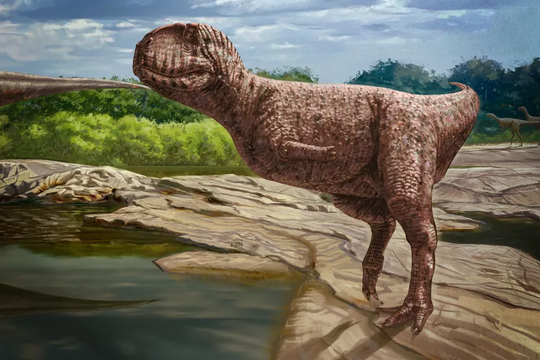Phát hiện loài khủng long mặt chó bull, tựa như phiên bản 'nâng cấp' của khủng long bạo chúa