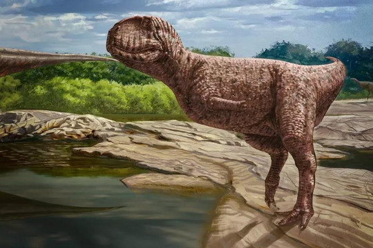 Phát hiện loài khủng long khổng lồ mới giống như trong phim T. rex