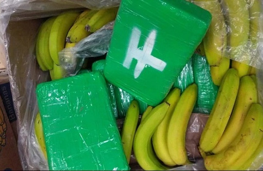 Lô cocaine hàng chục triệu euro ‘vô tình’ lọt vào siêu thị trong hộp chuối