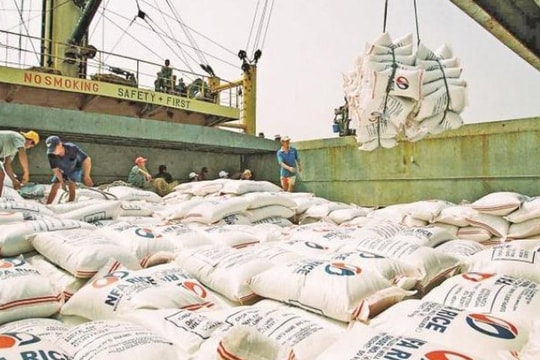Cơn sốt giá lan trên toàn cầu, Việt Nam sở hữu ‘kho hàng’ 28 triệu tấn