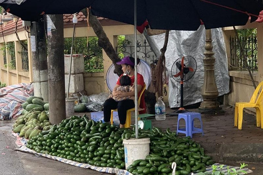 Loại quả siêu thực phẩm tràn chợ Hà Nội, giá siêu rẻ vẫn ế