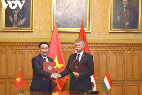 Việt Nam luôn coi trọng, mong muốn tăng cường quan hệ hữu nghị hợp tác nhiều mặt với Hungary
