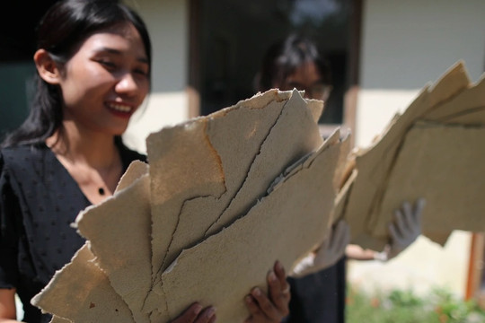 Độc đáo quy trình dùng tay làm giấy từ phân voi ở Thảo Cầm Viên