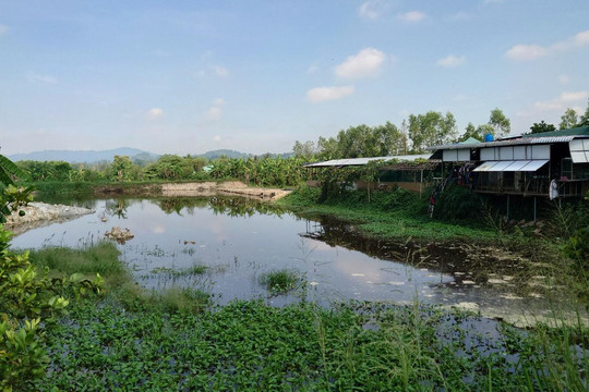 Vi phạm môi trường, trại nuôi heo ở Đồng Nai bị phạt gần 600 triệu đồng