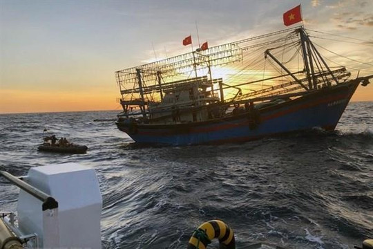 Hai tàu cá cùng 8 ngư dân Quảng Trị gặp nạn trên đường tránh bão số 1