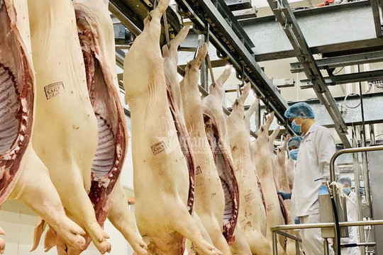 Cơn sốt mới: Giá thịt lợn tăng mạnh, dân ăn dè chợ ế ẩm