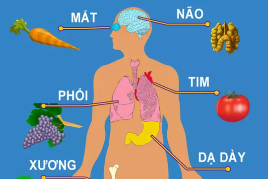 Các loại rau quả bổ cho từng bộ phận trên cơ thể