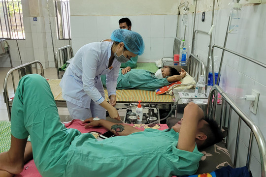 Quảng Nam ghi nhận gần 3.000 ca sốt xuất huyết, đang có chiều hướng gia tăng