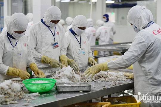Đang tăng trưởng thần tốc, món hàng tỷ USD đột ngột giảm