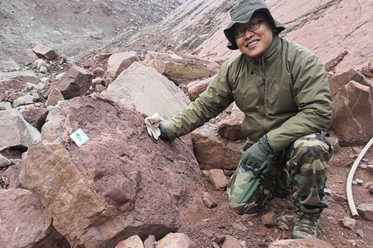Trung Quốc phát hiện 8 tấn hóa thạch khủng long trưởng thành