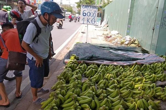 Loại quả rẻ tiền có thể chống lại 'kẻ giết người lớn nhất thế giới'