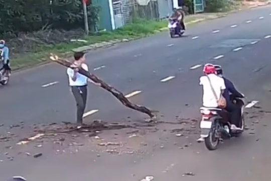 "Soái ca sơ mi trắng" vác cây dọn đường được khen ngợi hết lời