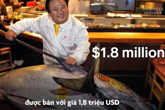 Cá ngừ vây xanh ở Nhật giá hàng triệu USD/con