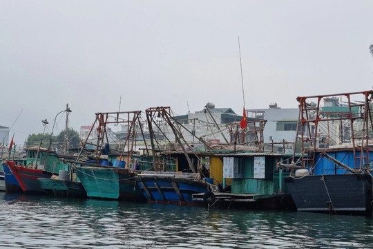 Quảng Ninh cấm biển từ 12h, Hải Phòng dừng hoạt động trên vịnh Lan Hạ
