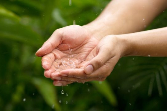 Nghiên cứu mới: Nước mưa trên khắp hành tinh không an toàn để uống