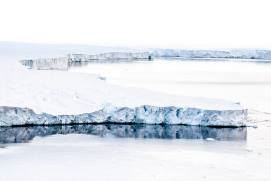 Nghiên cứu mới cảnh báo nguy cơ đối với dải băng lớn nhất thế giới