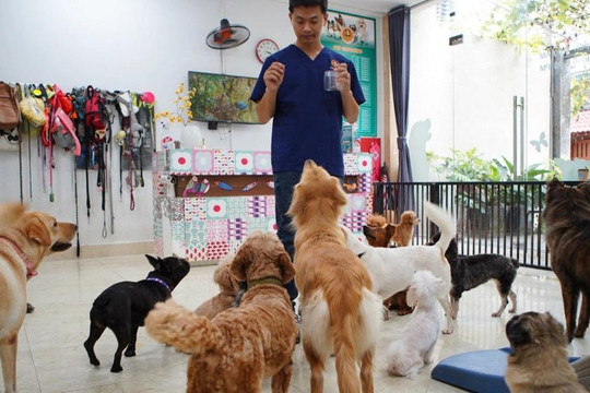 Lạ lùng dịch vụ gửi thú cưng đi... 'nhà trẻ' sang chảnh ở Hà Nội