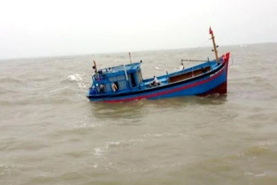 Tàu cá bị tàu hàng nước ngoài đâm chìm, 43 ngư dân may mắn thoát chết